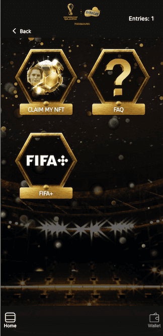 Frito Lay "FIFA Pass The Ball" experience